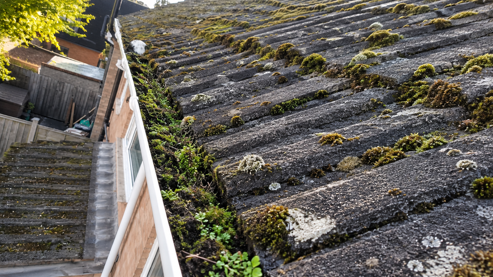 Blocked Birmingham gutter showing compacted debris and moss buildup before professional cleaning
