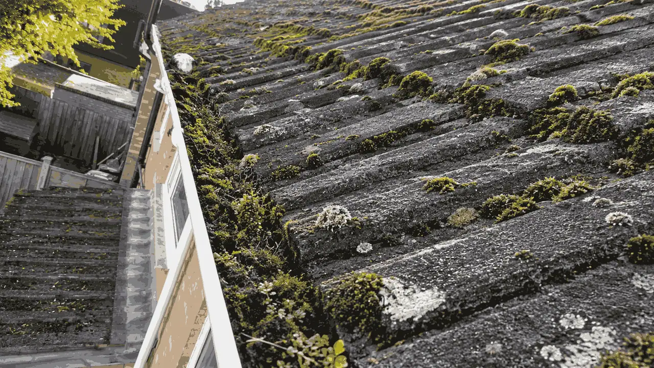 Birmingham gutter before summer inspection showing accumulated debris, silt and hidden faults