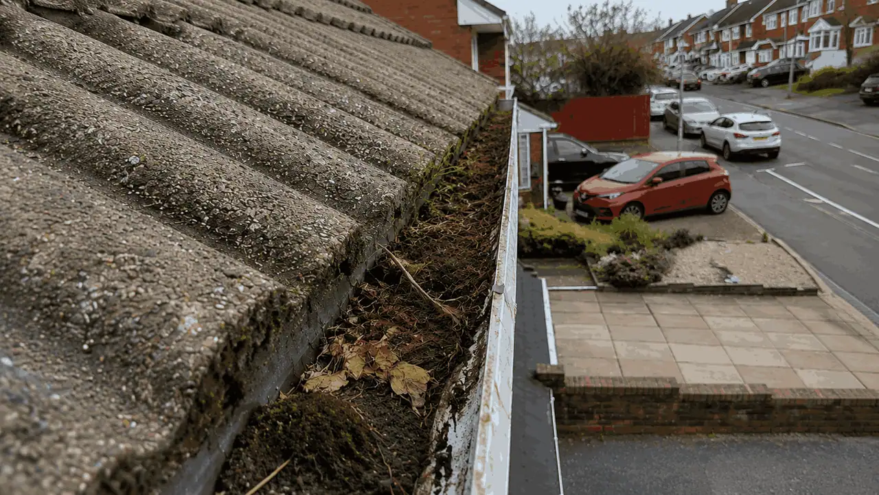 Blocked gutter full of leaves and moss before cleaning