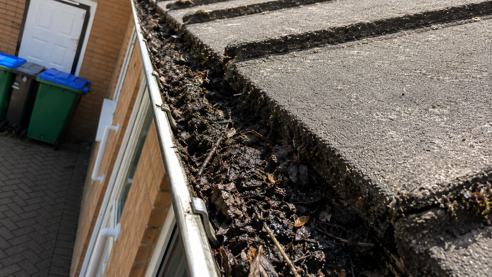 Before gutter cleaning — summer debris accumulation visible in Birmingham property