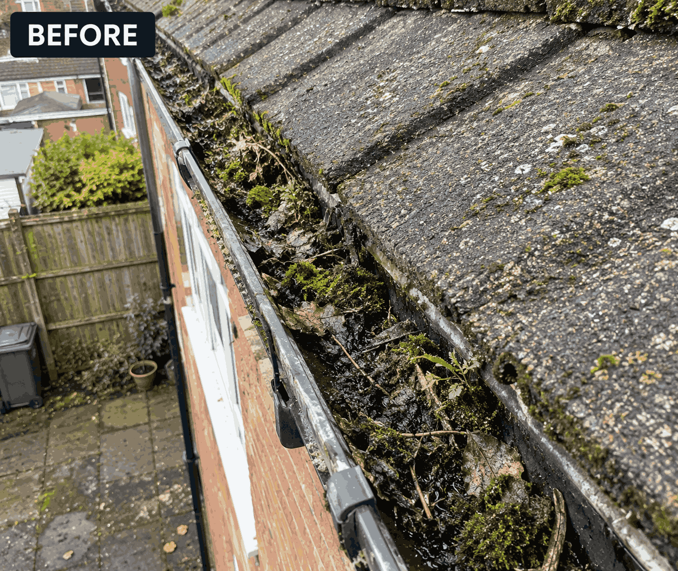 Gutter clogged with heavy moss, weeds and wet silt before cleaning in the Black Country