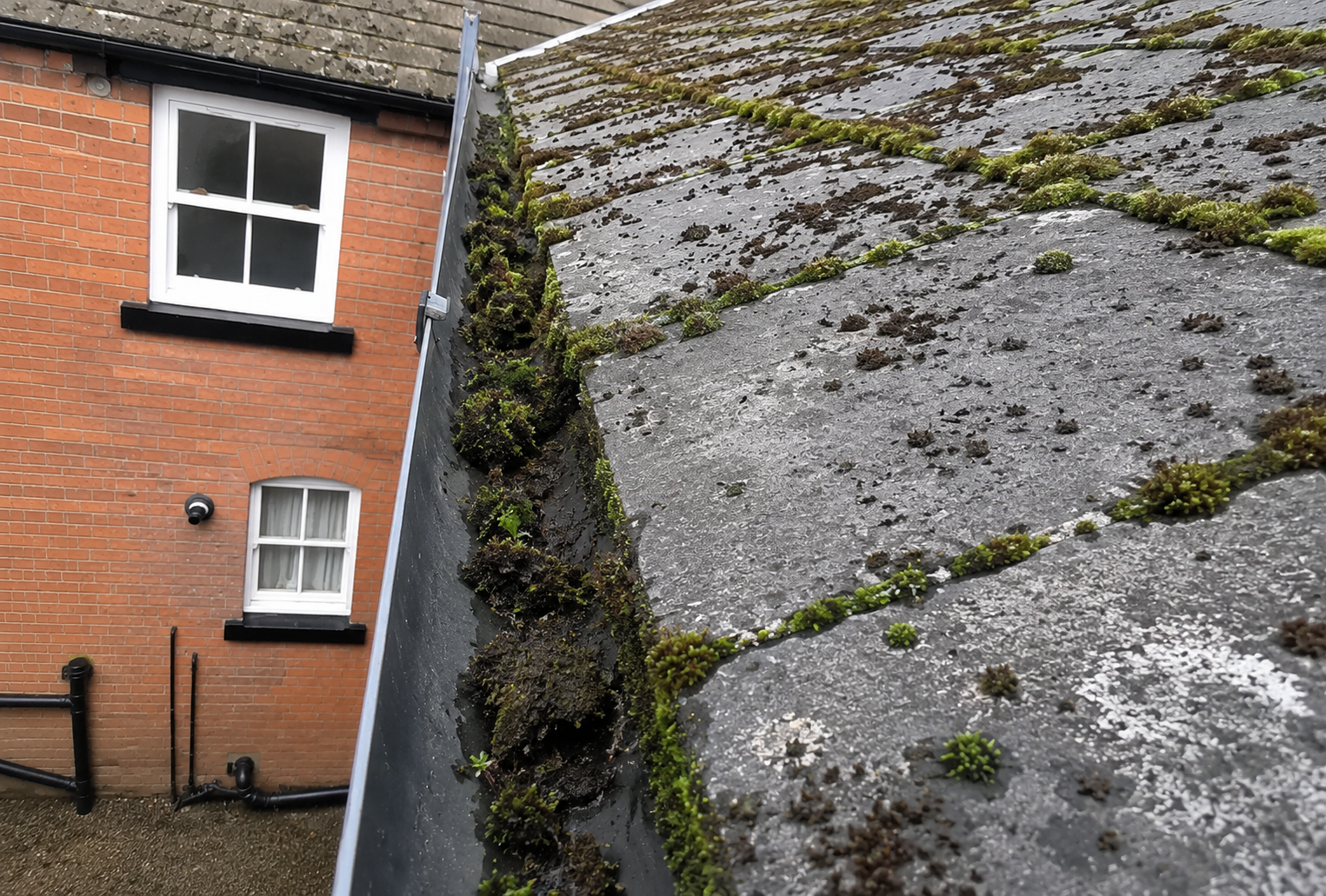 Before gutter cleaning showing heavy moss, silt and debris packed in high two-storey gutter channel
