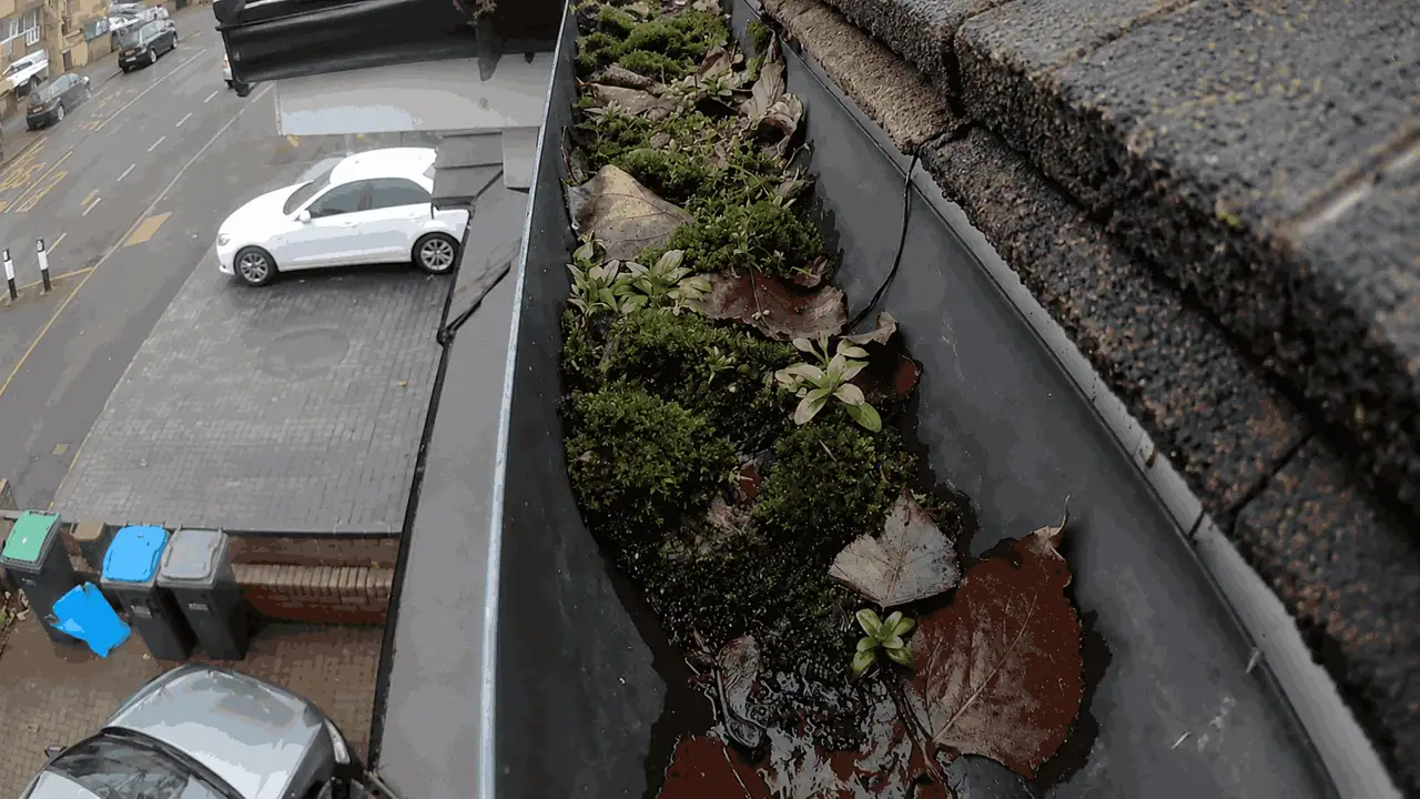 Heavily blocked Walsall gutter with compacted silt and organic debris before professional clearance
