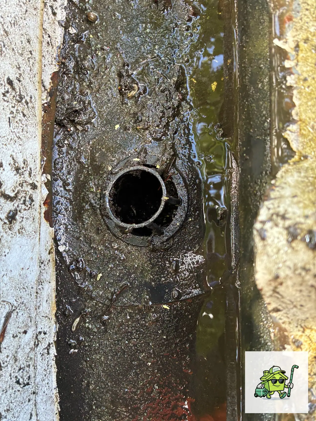 Commercial Downpipe Cleaning Services