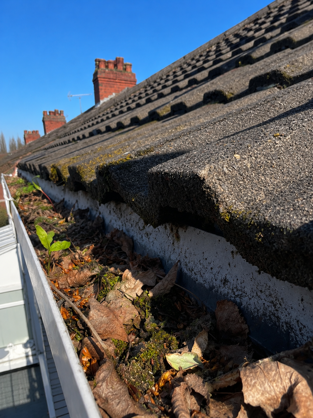 Before gutter cleaning in Bartley Green Birmingham B32 — gutter blocked with leaves, moss and compacted woodland debris, WOW Gutters 2026