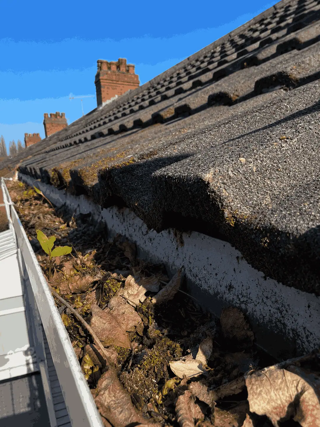Bartley Green Gutter Clean - Before