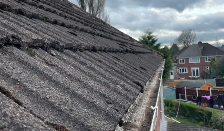 Gutter Cleaning