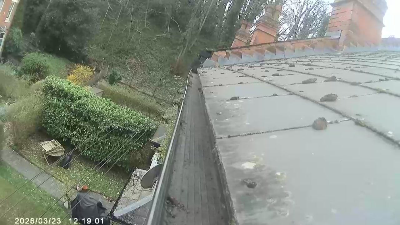 After photo — gutter cleaning complete in Coventry, 23 March 2026. Gutter cleared to the plastic channel in 23 minutes