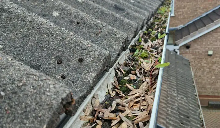 Free Gutter Inspection