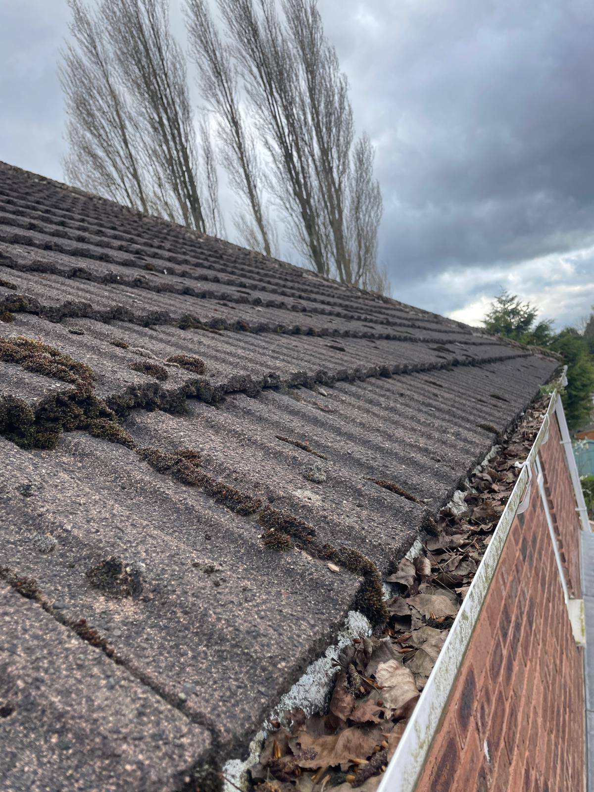Before gutter cleaning in Solihull — gutters packed with leaves, moss, sycamore seeds and compacted debris