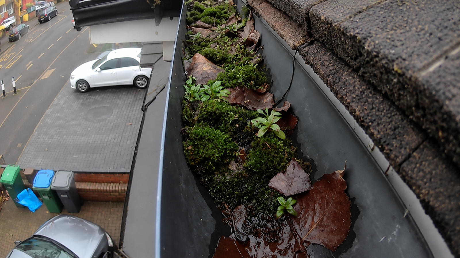 Before gutter cleaning in Walsall — gutter packed with autumn leaves, moss and compacted debris, WOW Gutters