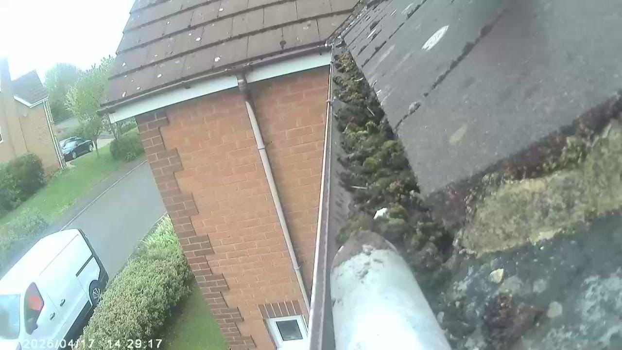 Before and after gutter cleaning in Wolverhampton — blocked gutters packed with leaves, moss and debris, cleared and flowing freely