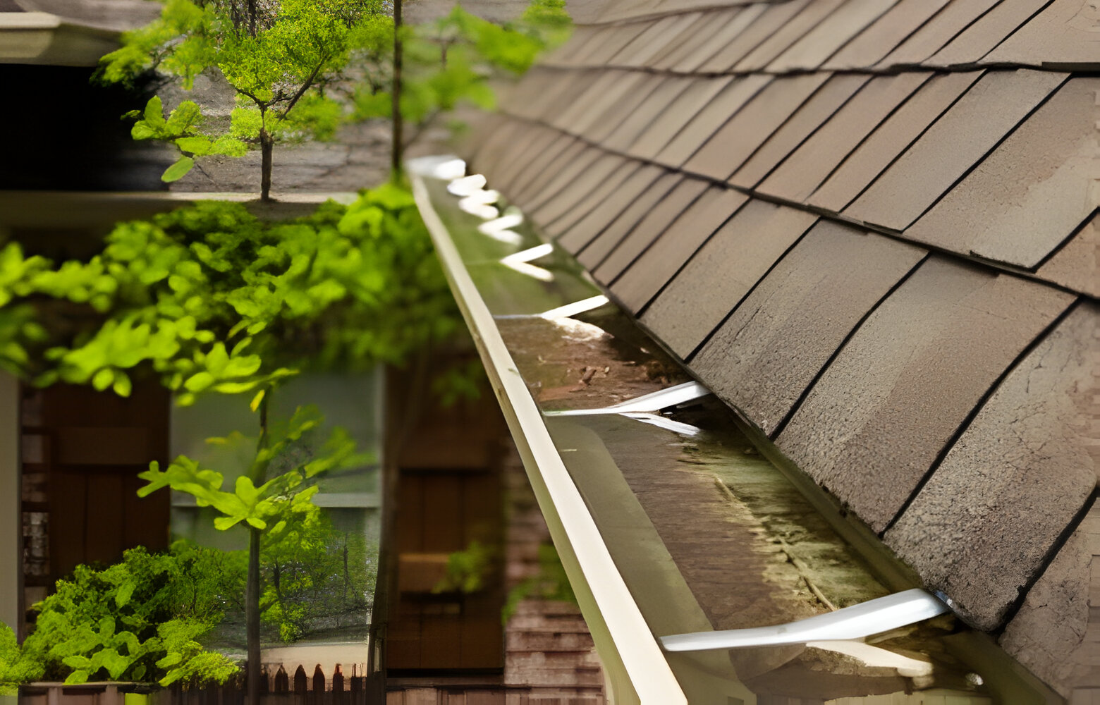 Gutter Cleaning Service