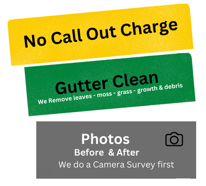 Gutter Cleaning service