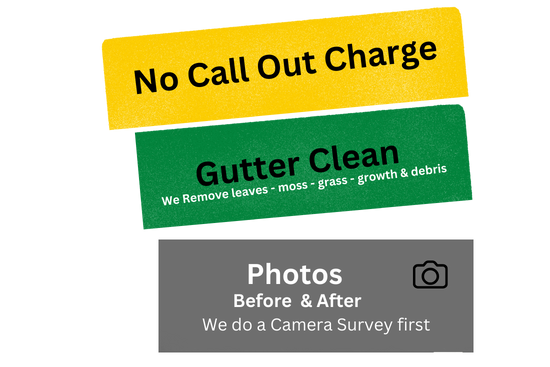 Gutter Cleaning