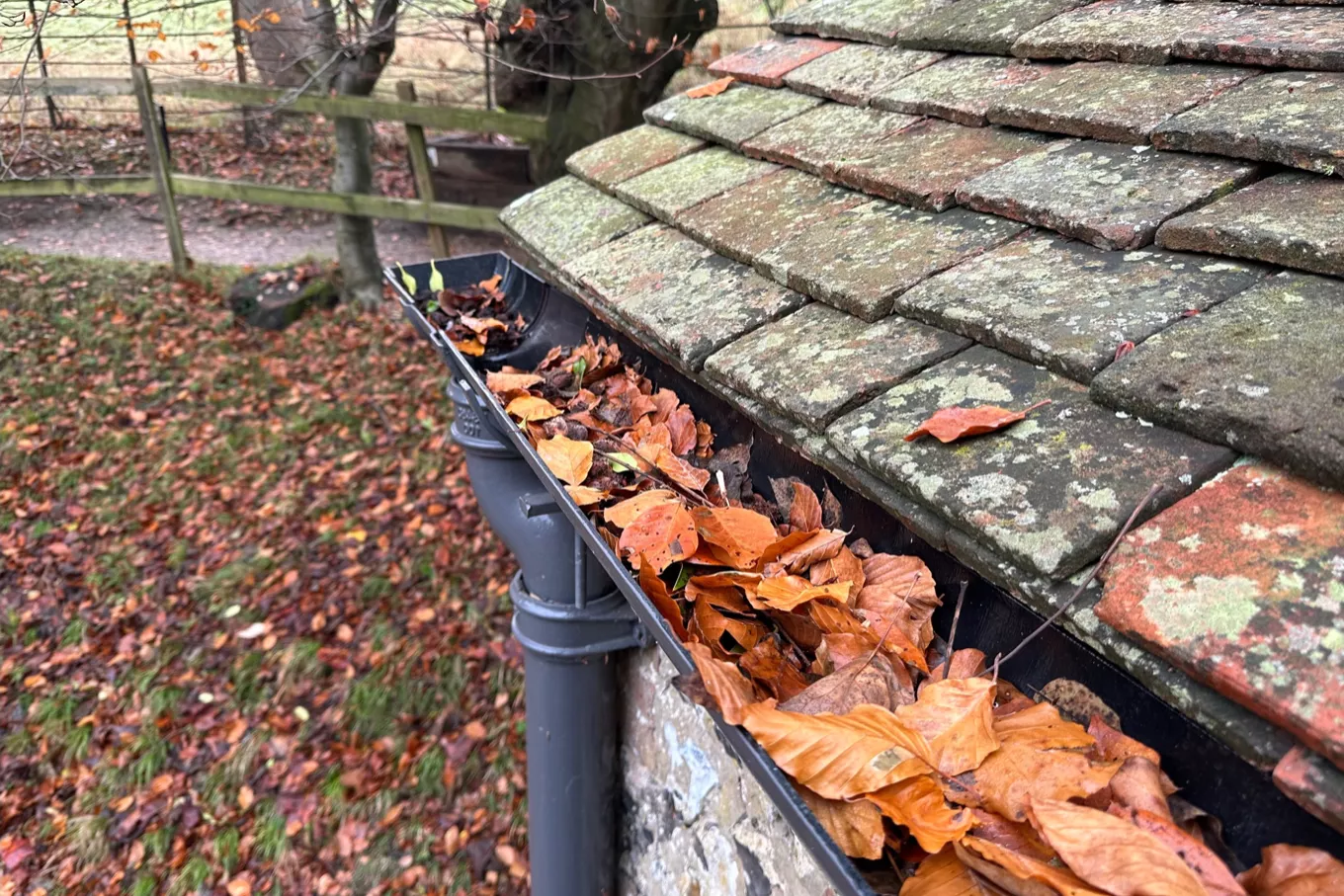 Gutter Cleaning