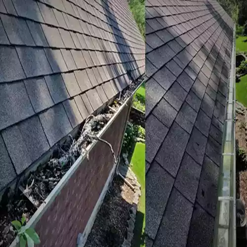 Gutter Cleaning Service