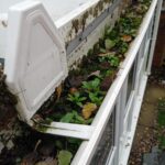 Best Gutter Cleaning Company in Birmingham