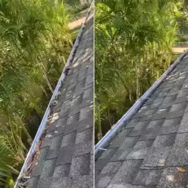 Gutter-Cleaner.webp