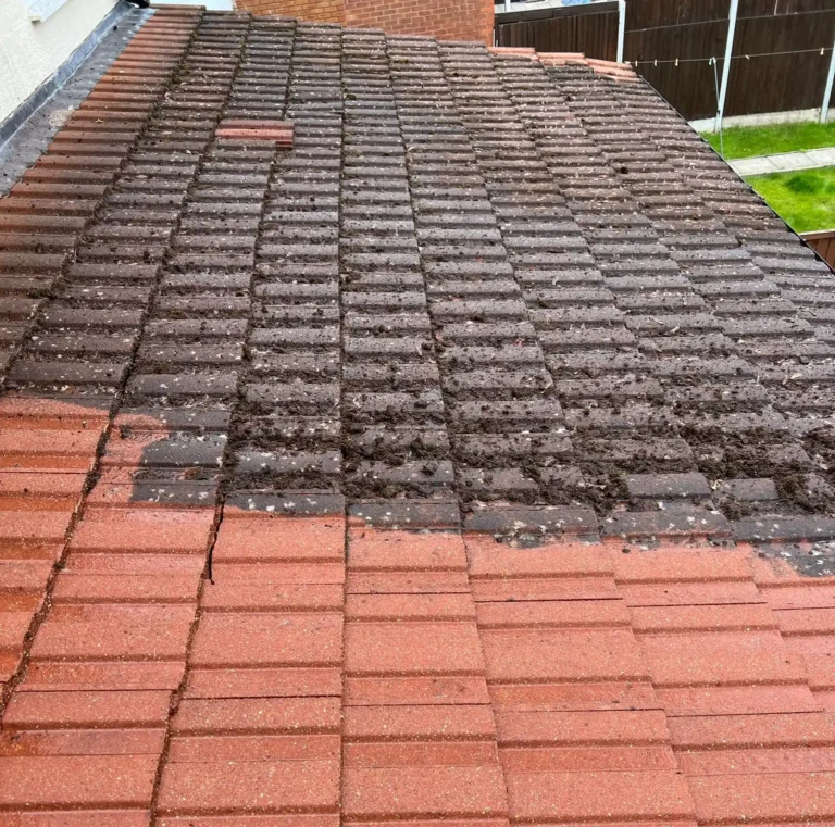 Roof-Cleaning-Service.webp