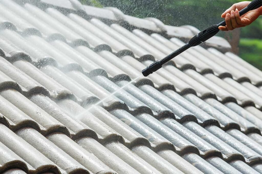 Roof Cleaning ​