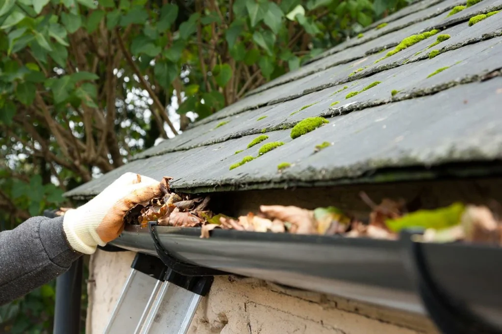 Gutter Cleaning Services